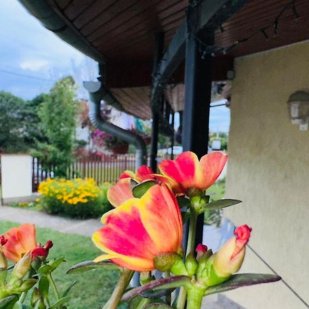 Cozy Garden Apartman Apartment Jula Exterior foto