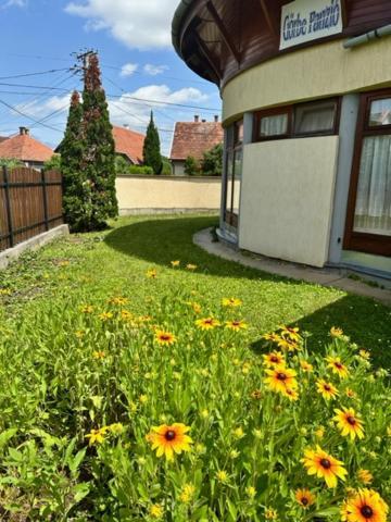 Cozy Garden Apartman Apartment Jula Exterior foto