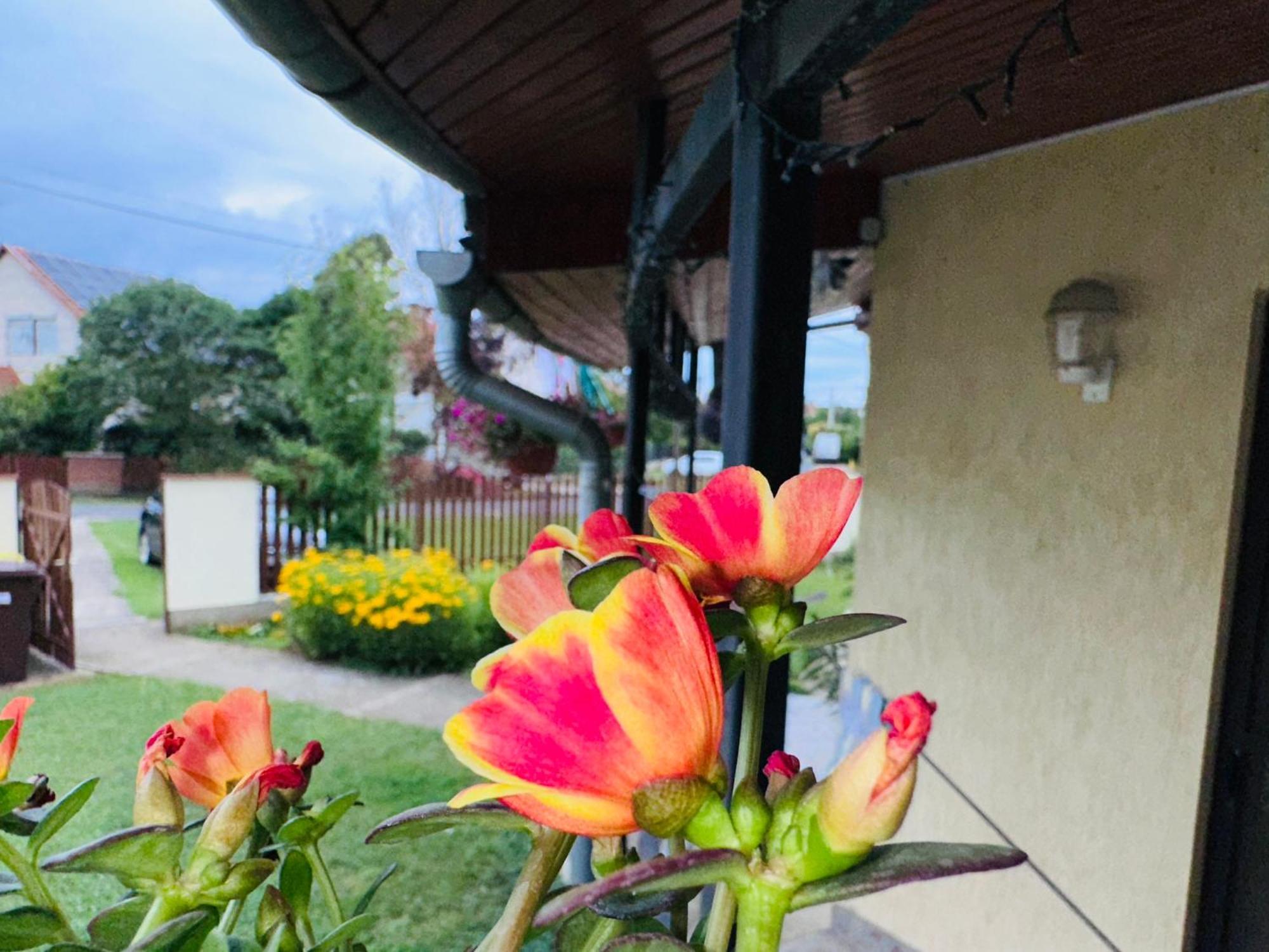 Cozy Garden Apartman Apartment Jula Exterior foto