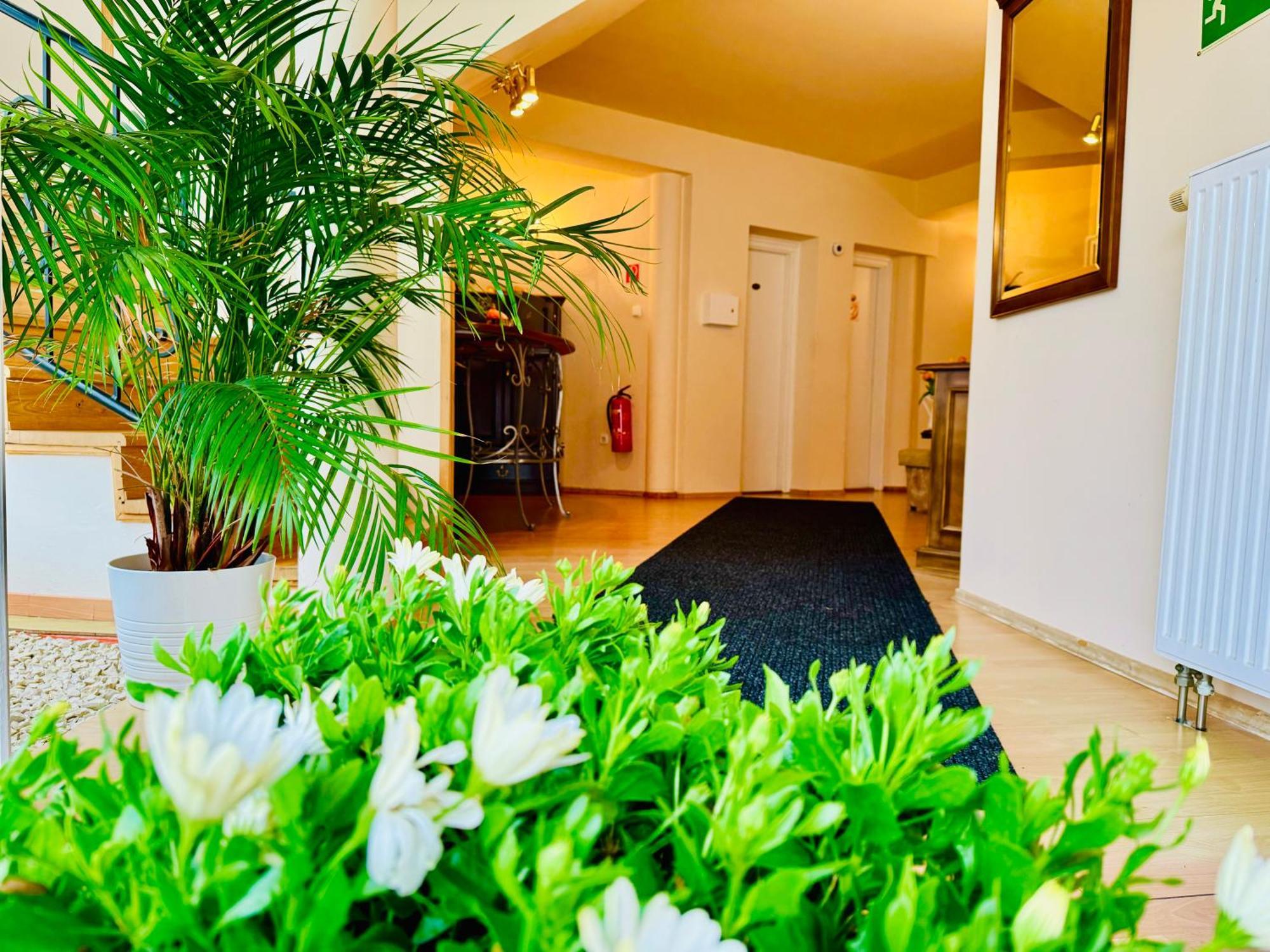 Cozy Garden Apartman Apartment Jula Exterior foto